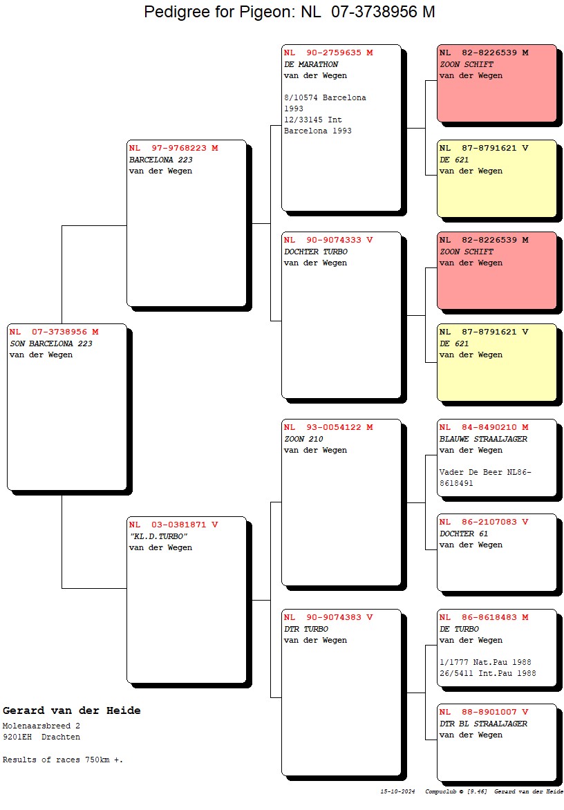 Pair 1 proforma